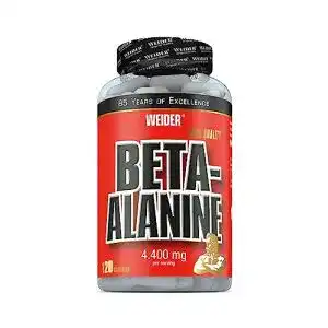 Beta alanin weider beta alanin kapseln hochdosiert