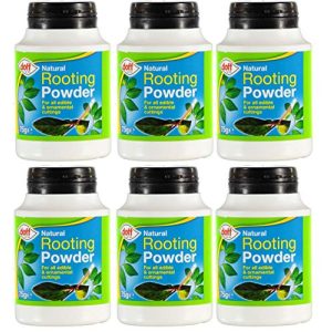 Rooting powder Redify Doff, hormonpulver