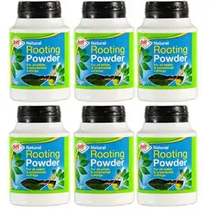 Bewurzelungspulver redify doff hormon puder