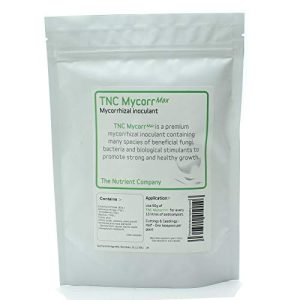Köklendirme tozu TNC MycorrMax, birinci sınıf mikoriza tozu