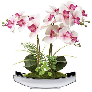Saksıda çiçek Briful yapay çiçekler orkide Phalaenopsis