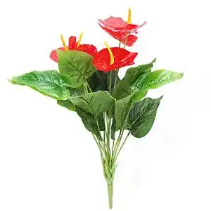 Blume im topf flair flower hallo