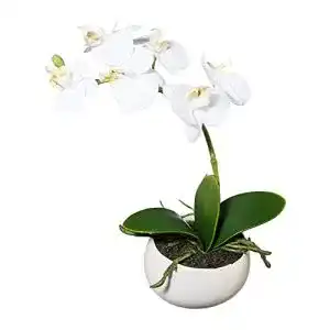 Blume im topf wohnfuehlidee kunstpflanze orchidee phalenopsis