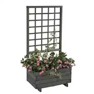 Blumenkasten mit Rankgitter