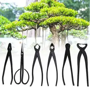 Bonsai werkzeug jarchii