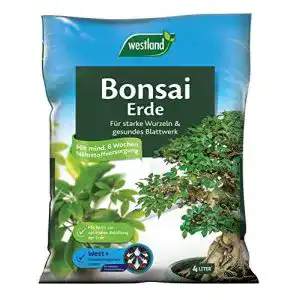Bonsaierde westland bonsai erde 4 l erde mit tongranulat