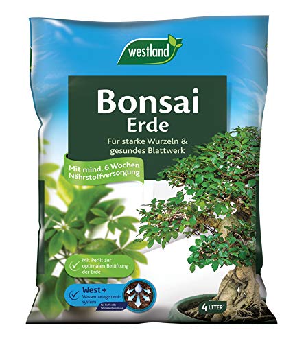 Bonsaierde Westland Bonsai Erde, 4 l, Erde mit Tongranulat