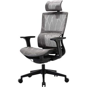 Офисные стулья Офисный стул SIHOO эргономичный, с высокой спинкой