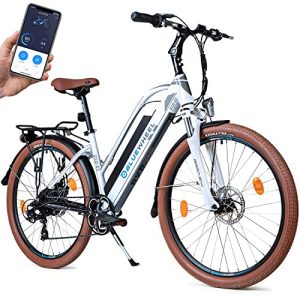 Elektrikli bisiklet Bluewheel Electromobility BLUEWHEEL 26″