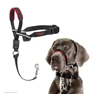 Erziehungshalsband company of animals halti optifit