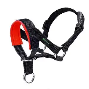 Erziehungshalsband ilepark hundehalfter mit gepolstertem stoff