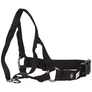 Erziehungshalsband trixie top trainer training harness m 27 cm
