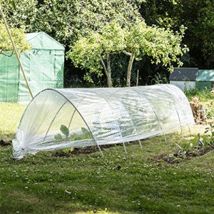 Polytunnel Harbor Housewares plant tunnel, clear