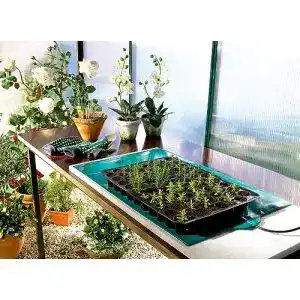 Gewaechshausheizung bio green anzucht waermeplatte gruen