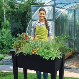 Raised bed (plastic) plants Kölle raised bed planter box