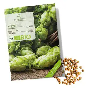 Hopfen samen growgreens bio hopfen samen heilkraeuter