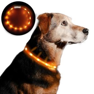Hundelyshalsbånd Anicoll LED-lyshalsbånd til hunder USB