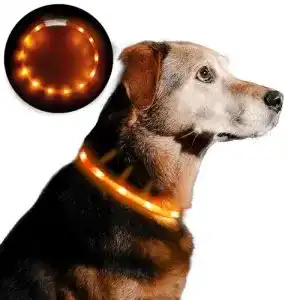 Hunde leuchthalsband anicoll led leuchthalsband hunde usb