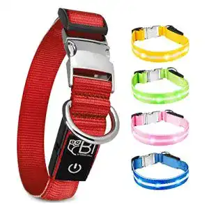 Hunde leuchthalsband bi international leuchthalsband fuer hunde