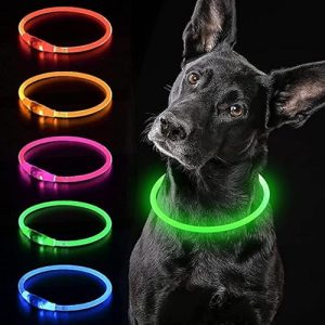 Collar luminoso para perros Collar luminoso iTayga, recargable por USB