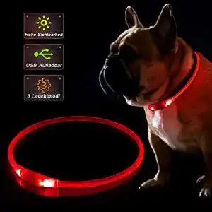 Hunde leuchthalsband kabb led hundehalsband usb