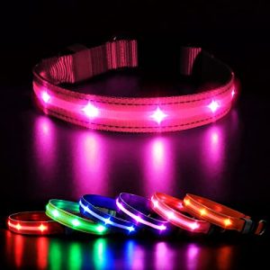 Collier lumineux pour chien MASBRILL collier lumineux rechargeable, LED