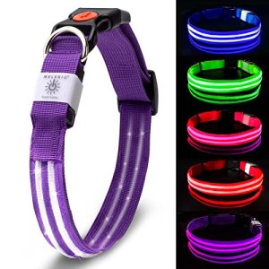 Ogrlica za pse MELERIO LED svjetlosna ogrlica USB