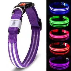 Hunde leuchthalsband melerio led leuchthalsband usb