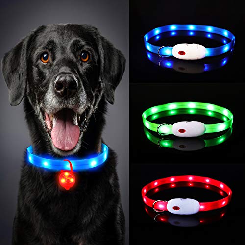 Hunde Leuchthalsband Oladwolf Leuchthalsband Aufladbar, LED