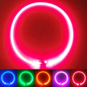 Hundljushalsband PetSol LED-hundhalsband i rött