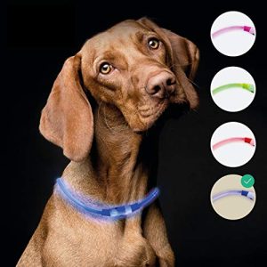 Hondenlichthalsband rijk LED lichthalsband hond extra sterk