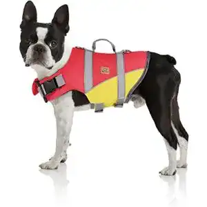 Hundeschwimmweste bella balu schwimmweste fuer hunde