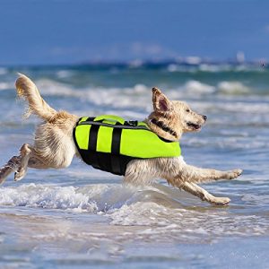 Colete salva-vidas para cães Namsan n colete salva-vidas para cães, portátil, inflável