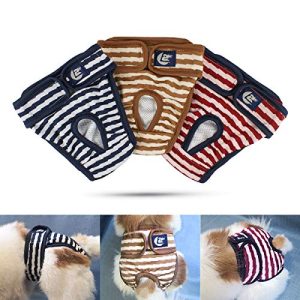 Dog diapers Namsan dog diapers 3 pieces washable
