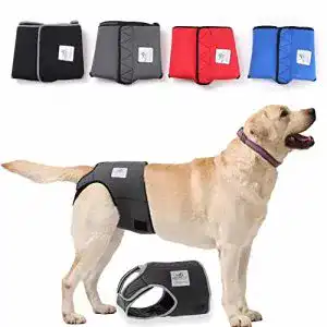 Hundewindeln nature pet laeufigkeitshose fuer huendinnen