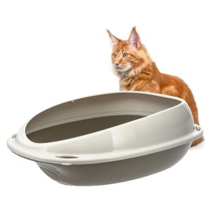 Toilette per gatti GarPet, senza coperchio 57x40x19 cm con bordo