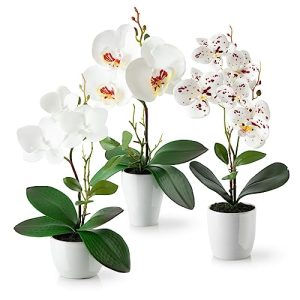 Kunstblumen PASCH ® Topf (35cm) 3er Set Orchideen künstlich