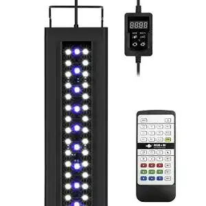 Led aquarium beleuchtung nicrew rgbw aquarium led beleuchtung