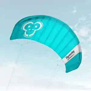 Lenkmatten skymonkey windtrainer 3 3 trainer kite lenkmatte 4 leiner