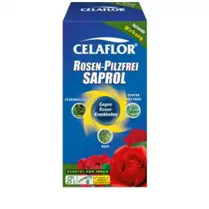 Mittel gegen mehltau celaflor rosen pilzfrei saprol