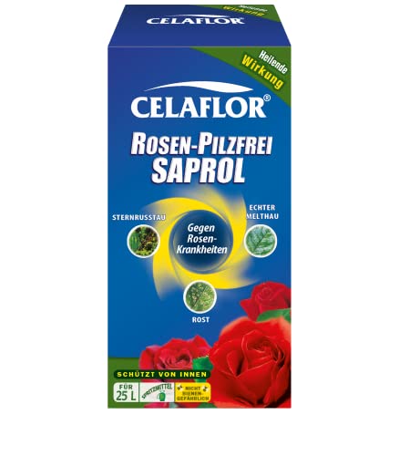 Remedio contra el mildiú Celaflor rosa sin hongos Saprol