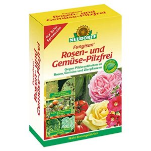 Remédios contra o oídio Neudorff rosas e vegetais sem fungos