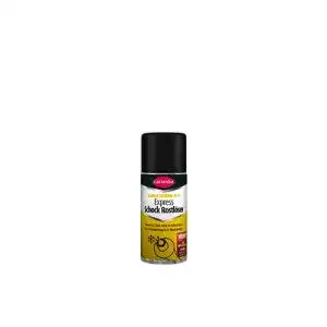 Rostloeser caramba express schock 100 ml spray vereist