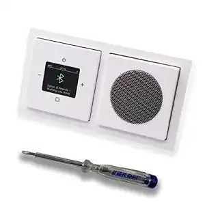 Busch Jäger DAB+ Unterputzradio mit Bluetooth und Farbdisplay