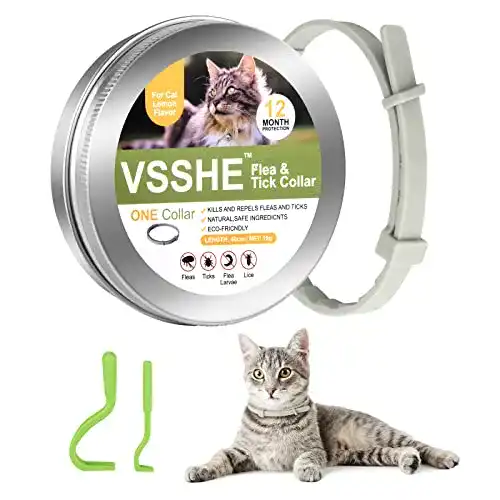 Zeckenhalsband für Katzen – Langzeit Schutz gegen Zecken und Flöhe