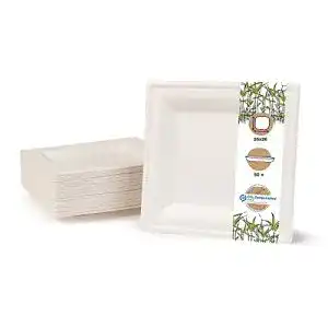 Zuckerrohr teller greenbox umweltvertraegliches bagasse