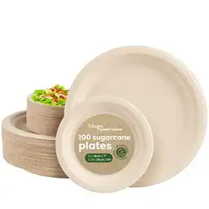 Zuckerrohr teller haago 100 zuckerrohr bagasse einwegteller