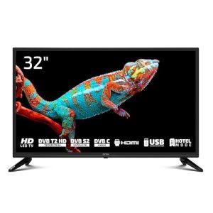 32-Zoll-Fernseher DYON Enter 32 Pro X2 (2024) 80 cm (32 Zoll)
