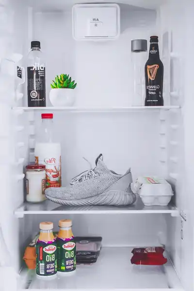 absorption refrigerator