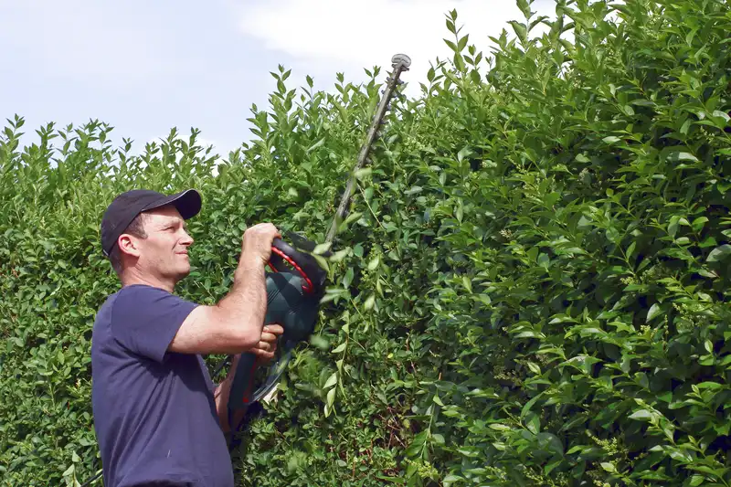 Battery telescopic hedge trimmer
